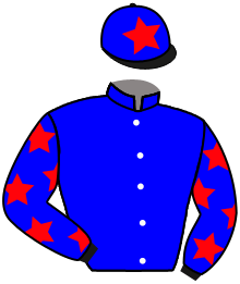 Casaque du n°15 — FIRST AMBITION