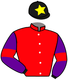 Casaque du n°18 — THUNDER WONDER