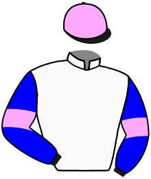 Casaque du n°5 — EL MATADOR