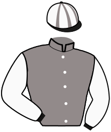 Casaque du n°12 — GOURITCH