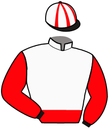 Casaque du n°2 — LIBERO OV