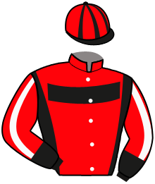 Casaque du n°3 — MAHARANI GB