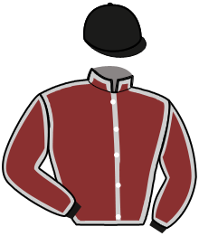 Casaque du n°4 — TAMPA BAY