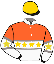 Casaque du n°8 — NJORD INVICTA