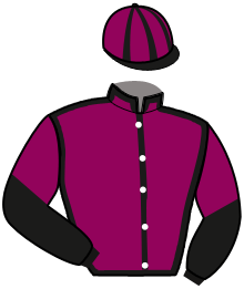 Casaque du n°12 — NADYHA