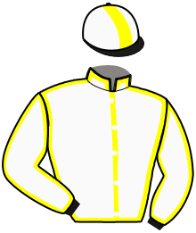 Casaque du n°14 — GRI BARACK