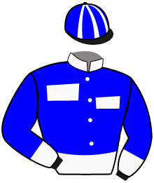 Casaque du n°3 — JACKSTONE