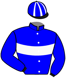 Casaque du n°10 — JEFF