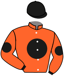 Casaque du n°4 — VELORA