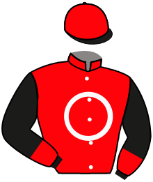 Casaque du n°2 — JACKPOT ROCKET