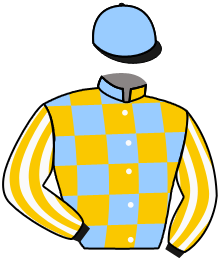 Casaque du n°4 — CHIEF OF STAFF