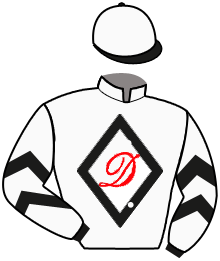 Casaque du n°10 — FIRST SITE