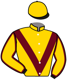 Casaque du n°2 — LADY JANCIS