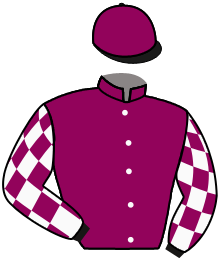 Casaque du n°5 — SILSBEE