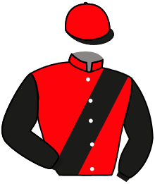 Casaque du n°9 — DUBOFF