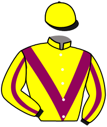 Casaque du n°6 — AMBERGLEN