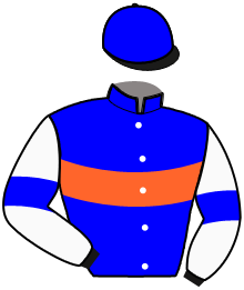 Casaque du n°4 — INESKA