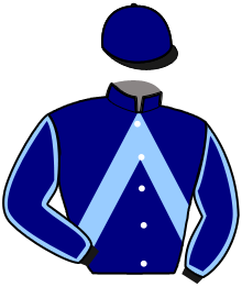Casaque du n°7 — IXELLE BLEUE