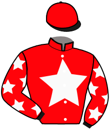 Casaque du n°2 — LUCIUS DE PUCH