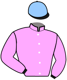 Casaque du n°3 — LE MAC