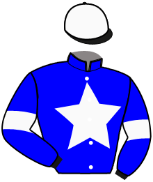 Casaque du n°11 — JEREMY D'AS