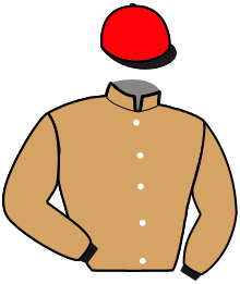 Casaque du n°3 — HULK DU SABLIER