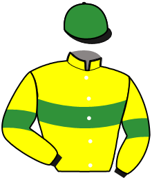 Casaque du n°4 — MESTA ATALANTE