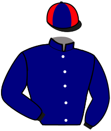 Casaque du n°11 — MISTER CITY