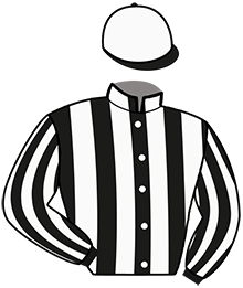 Casaque du n°3 — MONCOEUR DE DYPP