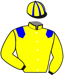 Casaque du n°5 — MAJOR SAUTONNE