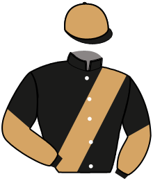 Casaque du n°6 — MONTOYA
