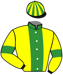 Casaque du n°9 — NEVENE CHALEONAISE