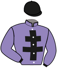 Casaque du n°10 — MOELAND