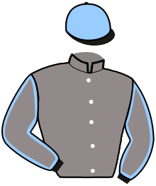 Casaque du n°3 — LEJACK DERIG