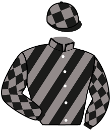 Casaque du n°9 — KILIANA DU VAUTOUR