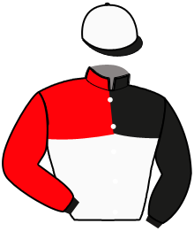 Casaque du n°13 — ODIN VRIJTHOUT