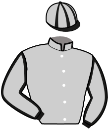 Casaque du n°5 — SILVIO