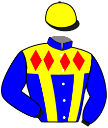 Casaque du n°1 — SUPER CROWN