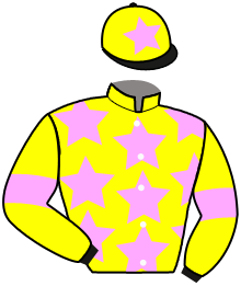 Casaque du n°3 — HINATA GREY