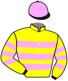 Casaque du n°11 — MAJOR OAK