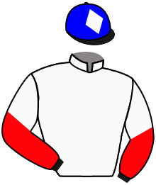 Casaque du n°16 — GRAND SCOOP
