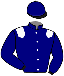 Casaque du n°6 — SYMBOL OF MAJESTY