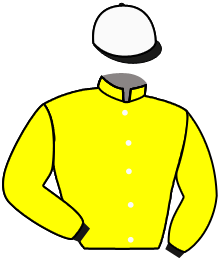 Casaque du n°11 — MOON RIDER