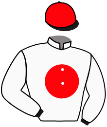 Casaque du n°13 — WAKAI GO