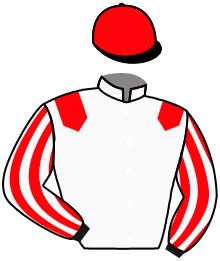 Casaque du n°14 — GRAND MACHO