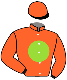 Casaque du n°8 — IDEE DE CHEVAL