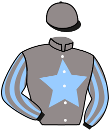 Casaque du n°3 — PRINCE AUBOIS