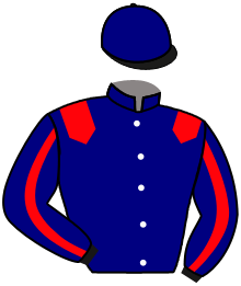 Casaque du n°5 — DANELO
