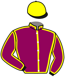 Casaque du n°13 — CIACCINO