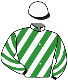 Casaque du n°15 — KAVAKNEY
